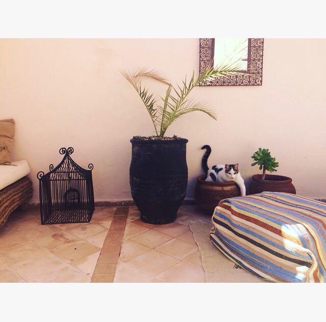 Riad Nejma Lounge Marakeş Dış mekan fotoğraf