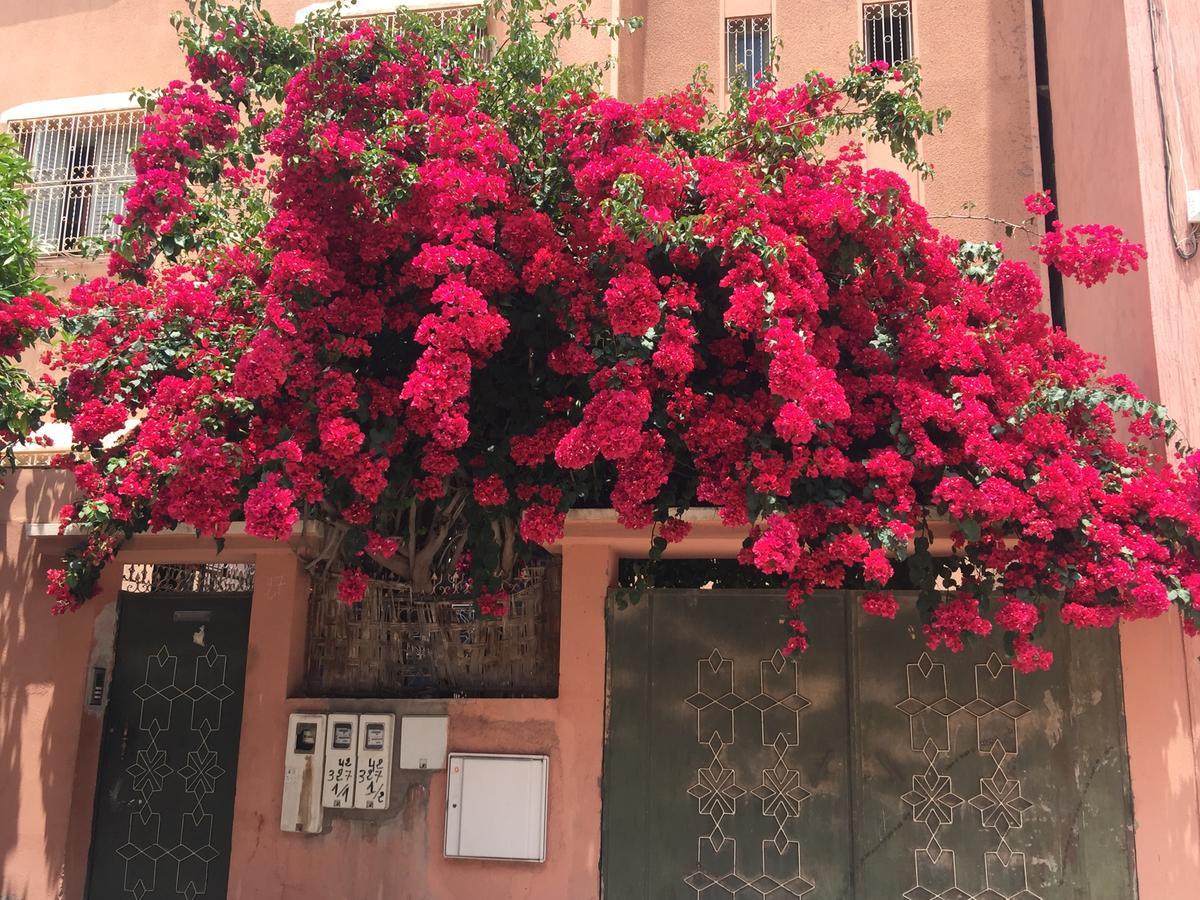 Riad Nejma Lounge Marakeş Dış mekan fotoğraf