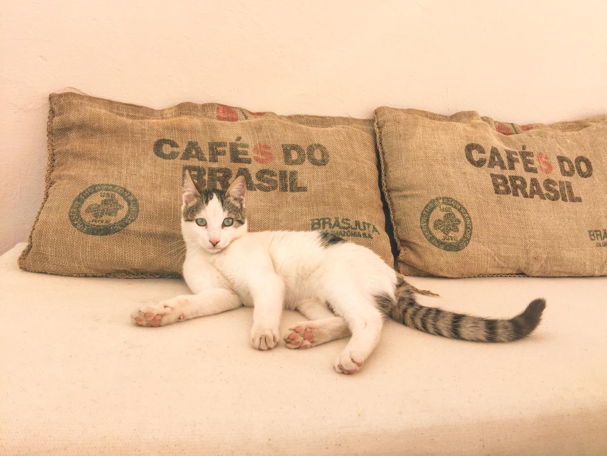 Riad Nejma Lounge Marakeş Dış mekan fotoğraf