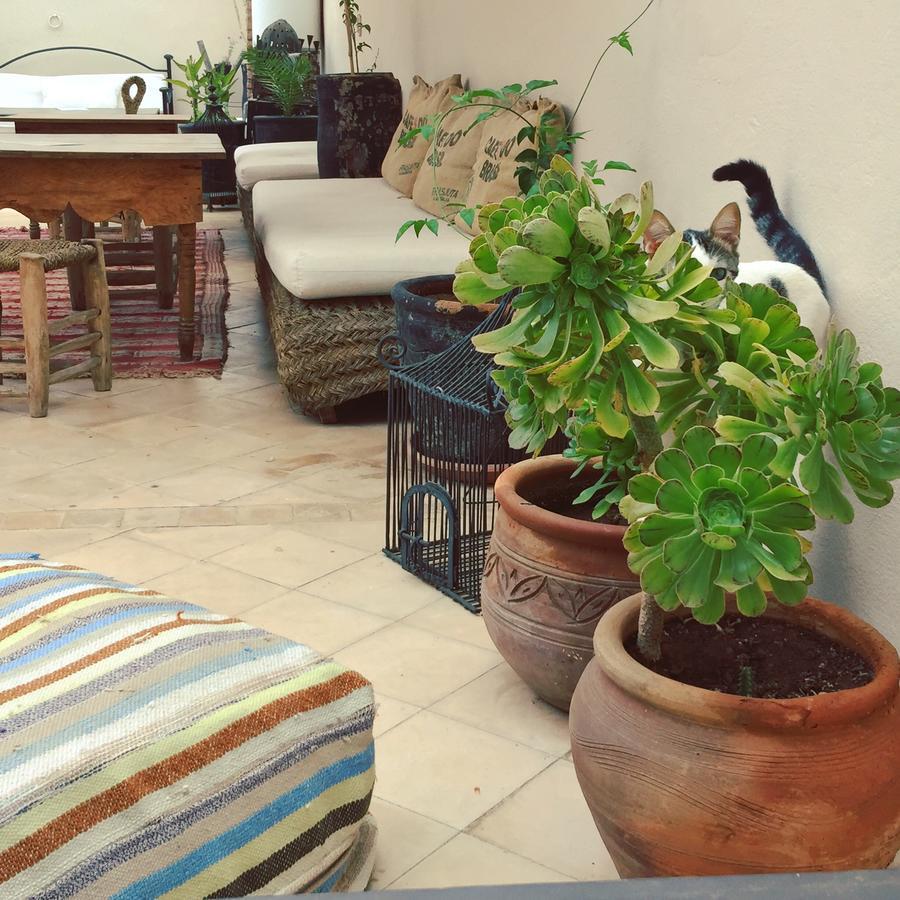 Riad Nejma Lounge Marakeş Dış mekan fotoğraf